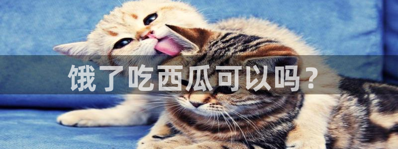 51吃瓜.world张津瑜