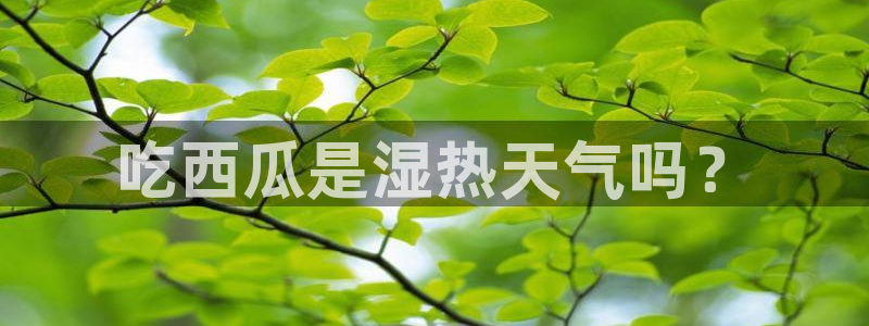 51今日吃瓜热门大瓜入口