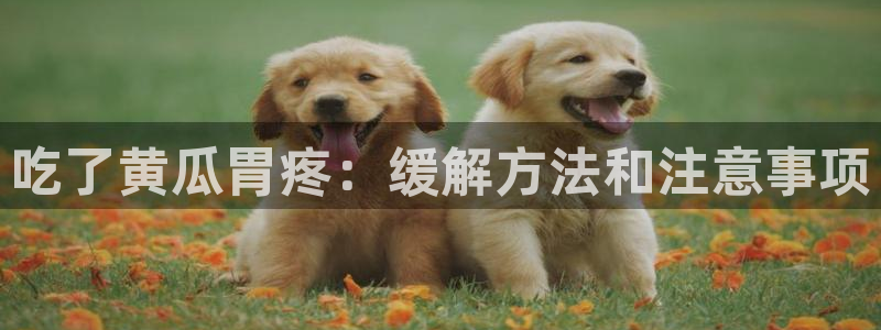 51热门大瓜今日吃瓜：吃了黄瓜胃疼：缓解方法和注意事项