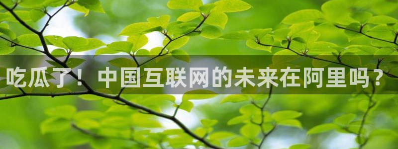 长生武道:从九龙夺嫡开始吃瓜