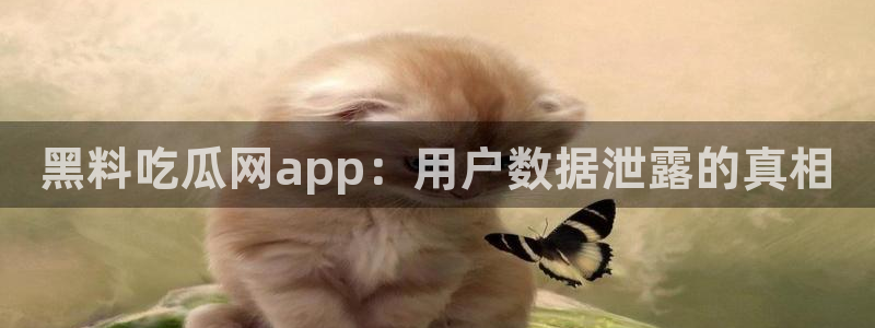 51吃瓜最新吃瓜入口：黑料吃瓜网app：用户数据泄露的真相