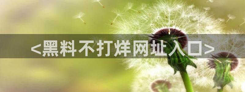 718.sⅹ 吃瓜:<黑料不打烊网址入口>