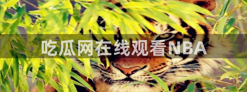 51吃瓜今日吃瓜在线：吃瓜网在线观看NBA