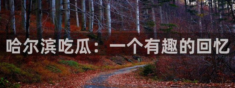吃瓜网是全网更新最快:哈尔滨吃瓜:一个有趣的回忆