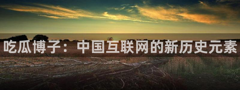 51吃瓜网今日必吃每日大瓜:吃瓜博子:中国互联网的新历史元素