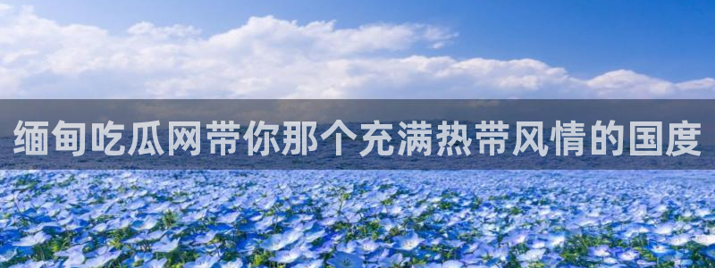 51.cgfun吃瓜：缅甸吃瓜网带你那个充满热带风情的国度