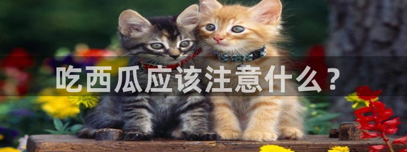 吃瓜喉咙痒怎么办:吃西瓜应该注意什么?