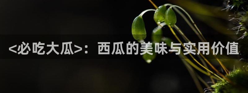 贝贝瓜可以炒着吃吗：<必吃大瓜>：西瓜的美味与实用价值