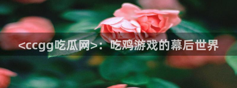 国产精品韩日中出吃瓜：<ccgg吃瓜网>：吃鸡游戏的幕后世界