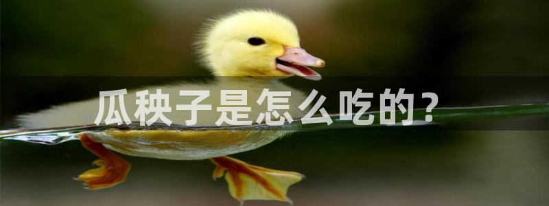 51吃瓜网小鹿酱:瓜秧子是怎么吃的?