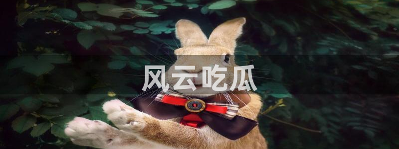吃瓜网998.su永久有效：风云吃瓜
