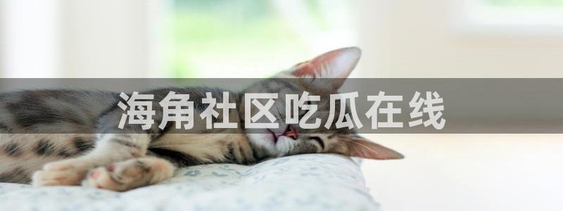 ccgg.ct今日吃瓜:海角社区吃瓜在线