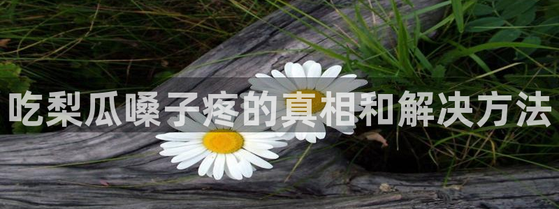 吃瓜最新:吃梨瓜嗓子疼的真相和解决方法
