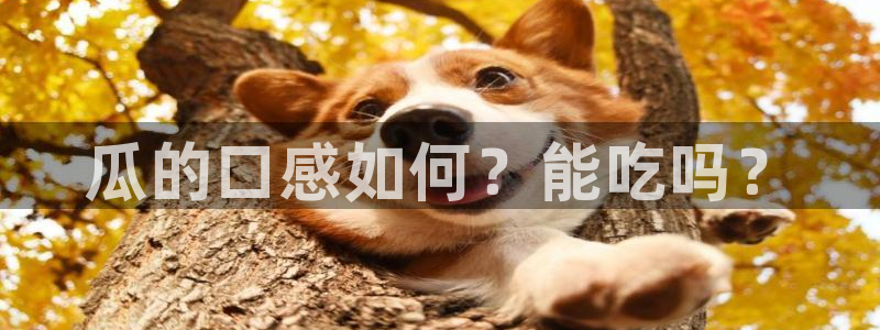 吃瓜吃到自己死讯:瓜的口感如何?能吃吗?