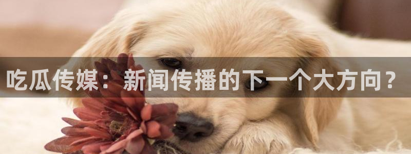 91吃瓜网今日大瓜热门大瓜