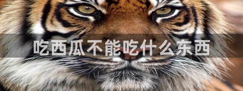 各种网红爆料吃瓜网站：吃西瓜不能吃什么东西