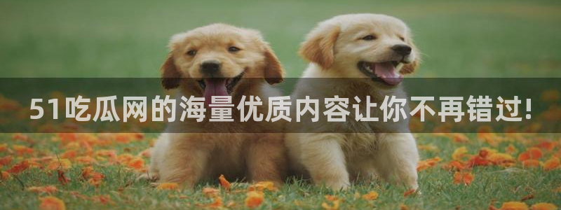 51吃瓜全网更新最快：51吃瓜网的海量优质内容让你不再错过!