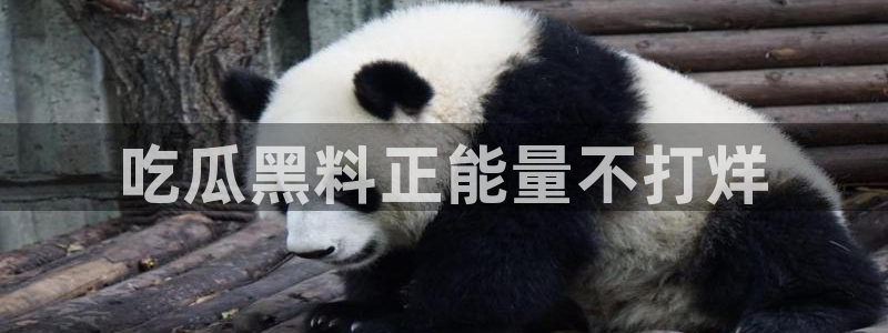 番茄和茄瓜能一起吃吗：吃瓜黑料正能量不打烊