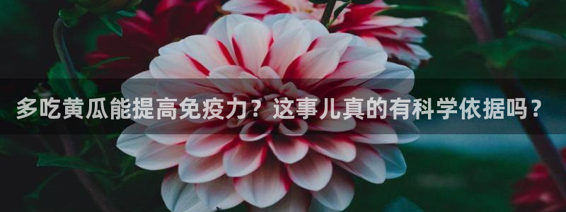 ccgg今日吃瓜:多吃黄瓜能提高免疫力?这事儿真的有科学依据吗?