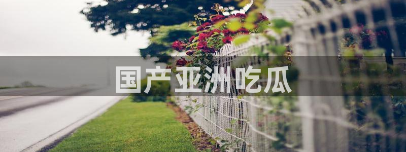 91吃瓜网今日吃瓜入口:国产亚洲吃瓜