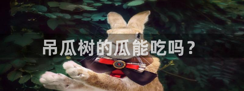 板栗瓜怎样做最好吃：吊瓜树的瓜能吃吗？