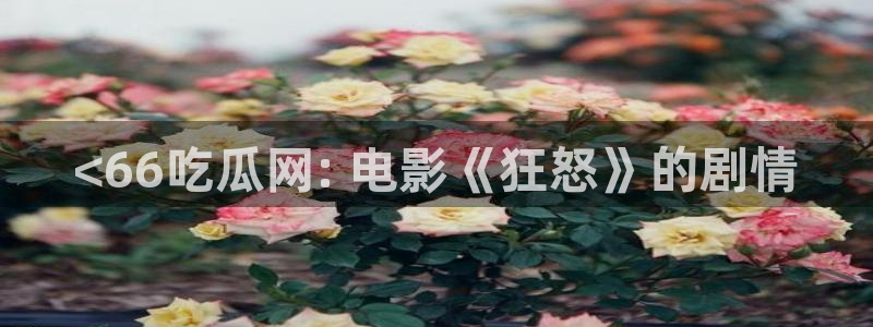 风静言我在年代文里吃瓜看戏：<66吃瓜网: 电影《狂怒》的剧情