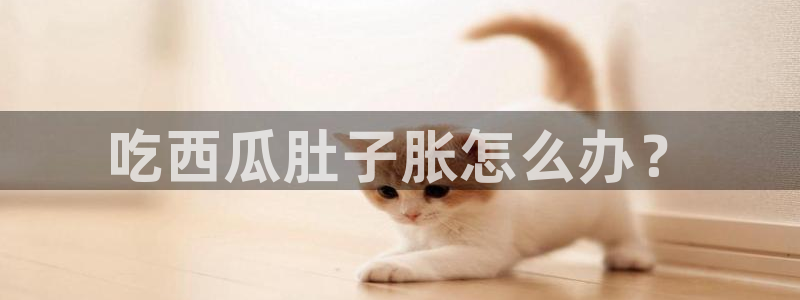 吃瓜最新
