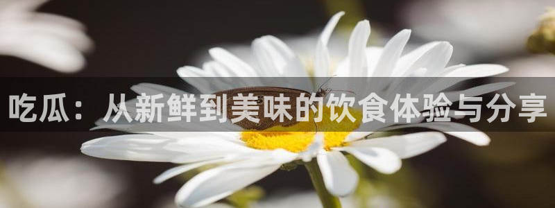 51吃瓜全网吃最快的瓜：吃瓜：从新鲜到美味的饮食体验与分享