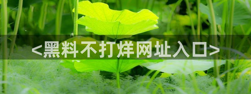 51cg吃瓜今日吃瓜热门大瓜：<黑料不打烊网址入口>