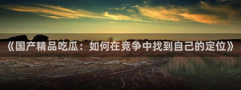 高血糖可以吃茄瓜吗：《国产精品吃瓜：如何在竞争中找到自己的定位》