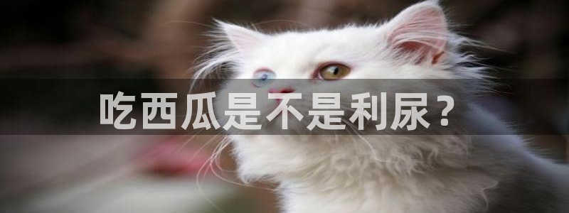 51吃瓜.world张津瑜:吃西瓜是不是利尿?