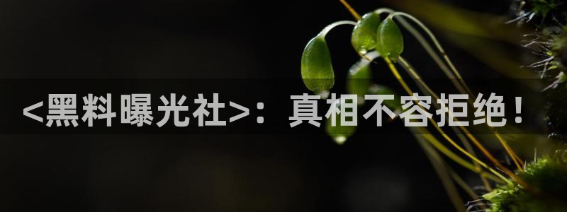 51吃瓜今日吃瓜莫里秀：<黑料曝光社>：真相不容拒绝！