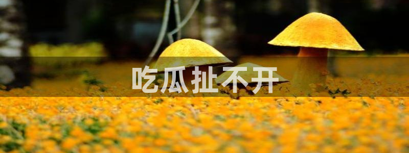 吃瓜网是全网更新最快：吃瓜扯不开